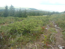 P1230723.JPG