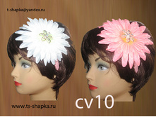 ��� cv10