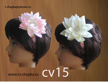 ��� cv15