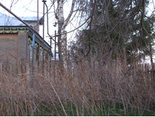 04.05.2009 12:05:18