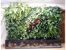 20120823_101651.jpg