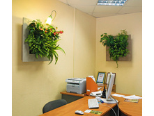 picture_113.jpg