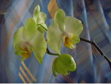 ��� ������� � ����� 03.2007