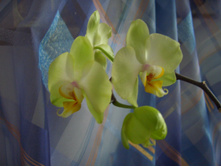��� ������� � ����� 03.2007