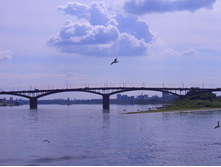 ���� 2006
