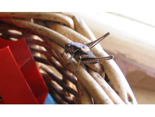 ������� �� �������� � ���������
