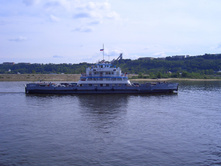 ���� 2006
