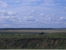 ���� 2006