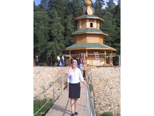 ���� 2006