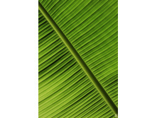06.05.2009 9:55:38