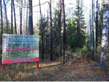 DSCN0547.JPG