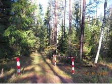 DSCN0548.JPG