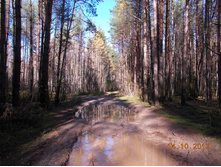 DSCN0557.JPG