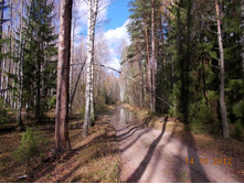 DSCN0561.JPG