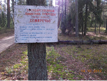 DSCN0564.JPG