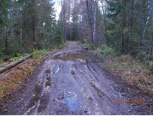 DSCN0567.JPG