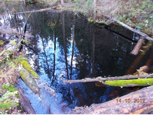 DSCN0568.JPG