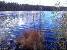 DSCN0570.JPG