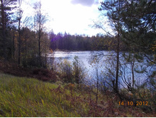 DSCN0575.JPG