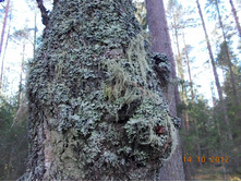 DSCN0581.JPG