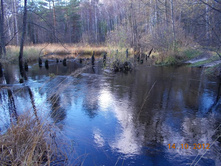 DSCN0585.JPG