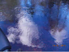 DSCN0587.JPG