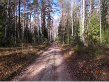 DSCN0560.JPG