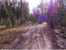 DSCN0562.JPG