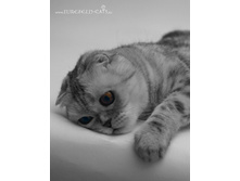 ���