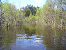 13.05.2009 15:09:16