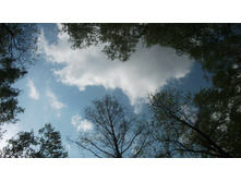 DSCF0889.JPG