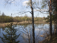 IMG_1750.jpg