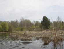 IMG_1778.jpg