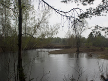 IMG_1787.jpg