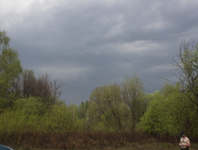 IMG_1803.jpg