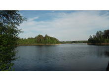 DSCF0905.JPG
