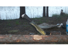 DSCF0929.JPG