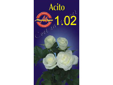acito.jpg