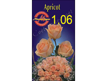 apricot.jpg