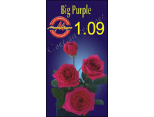 bigpurple.jpg