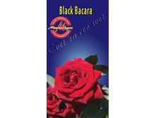 blackbacara.jpg