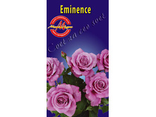 eminence.jpg