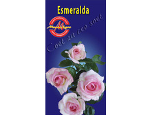 esmeralda.jpg