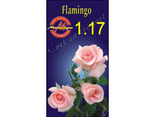 flamingo.jpg