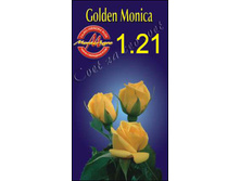 goldenmonica.jpg
