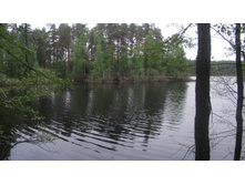 DSCF0958.JPG