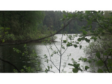 DSCF0962.JPG