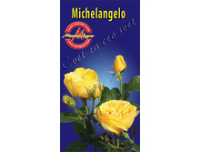 michelangelo.jpg