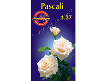 pascali.jpg