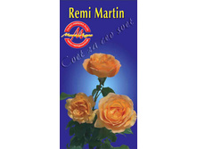 remimartin.jpg